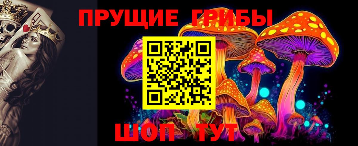 Галлюциногенные грибы Cubensis Ржев